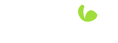Dragon Security & Electrical Logo