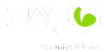 Dragon Security & Electrical Logo